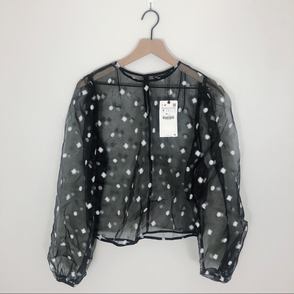 SOLD NWT Zara Embroidered Organza Sheer Blouse - Picture 3 of 8